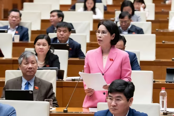 Đại biểu Trần Thị Nhị Hà (đoàn Hà Nội) phát biểu