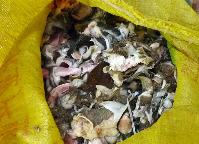 Rợn người nhìn thực phẩm "vó bò" hôi thối ảnh 7