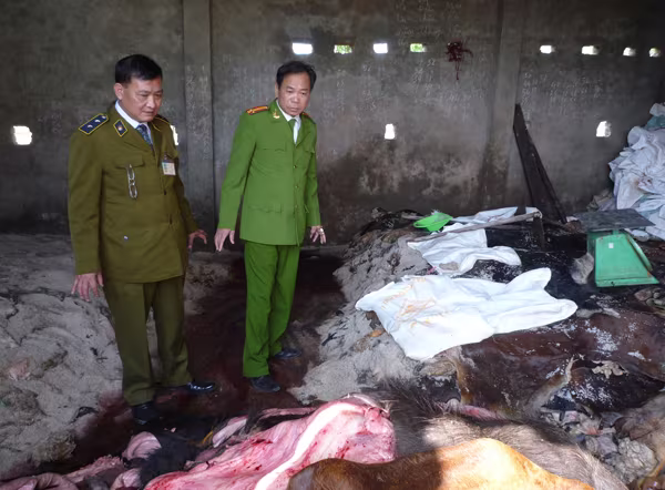 Rợn người nhìn thực phẩm "vó bò" hôi thối ảnh 9