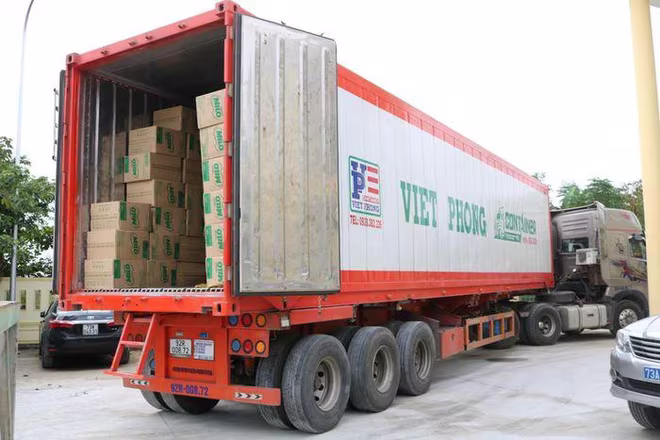 Trị giá hàng hóa nghi vấn nhập lậu lên đến gần 750 triệu đồng