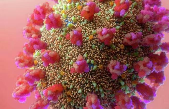 Biến thể phụ BA.2 nhanh chóng trở thành biến thể chiếm ưu thế ở Đan Mạch Biến thể phụ BA.2 nhanh chóng trở thành biến thể chiếm ưu thế ở Đan Mạch