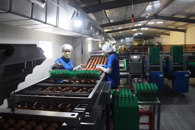 Agribank luôn tích cực đồng hành, chia sẻ của khách hàng, đặc biệt là trong bối cảnh khó khăn do Covid-19