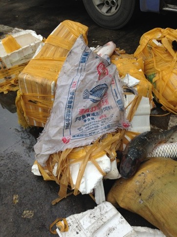 Lạ lùng cá trắm "Hải Dương" đóng bao bì Trung Quốc ảnh 7