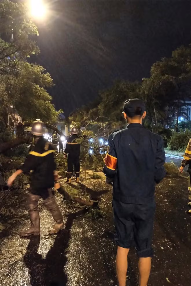 Quận Đống Đa không ghi nhận trường hợp thương vong do cây đổ, ngập lụt Quận Đống Đa không ghi nhận trường hợp thương vong do cây đổ, ngập lụt