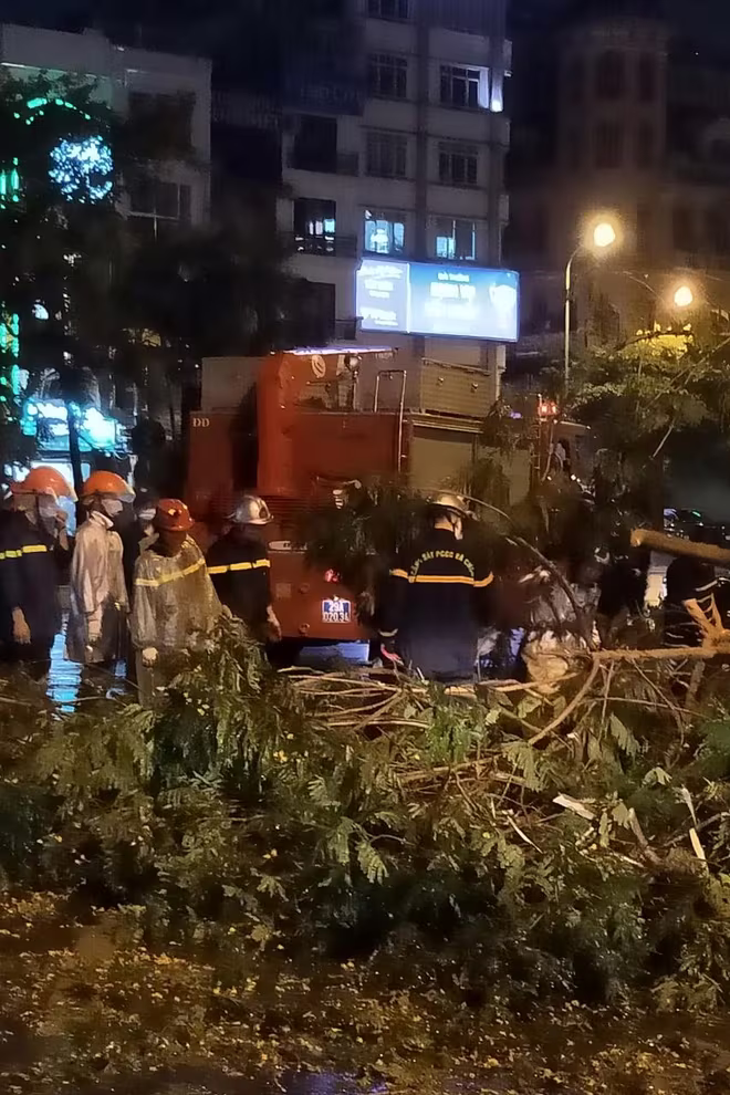 Lực lượng cứu hộ, cứu nạn nhanh chóng đến hiện trường vụ cây đổ Lực lượng cứu hộ, cứu nạn nhanh chóng đến hiện trường vụ cây đổ