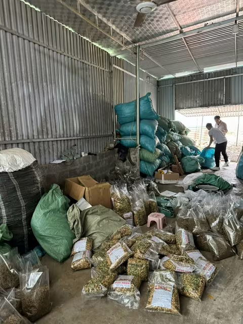Tang vật vụ án Tang vật vụ án