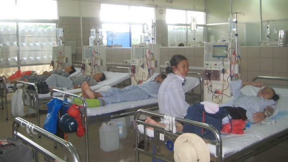 Thận ào ạt “chảy” qua biên giới ảnh 1 Thận ào ạt “chảy” qua biên giới ảnh 1