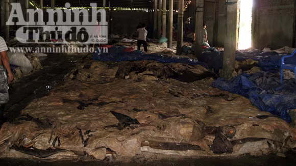 Toàn nhà xưởng tỏa ra thứ mùi khó chịu Toàn nhà xưởng tỏa ra thứ mùi khó chịu
