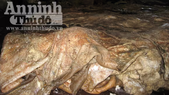 Sơ chế da trâu bò phát sinh nhiều nước thải hôi thối, không được xử lý đúng quy trình Sơ chế da trâu bò phát sinh nhiều nước thải hôi thối, không được xử lý đúng quy trình