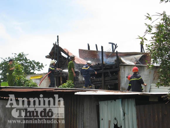 Một hành động nghĩa hiệp giữa đời ảnh 1 Một hành động nghĩa hiệp giữa đời ảnh 1