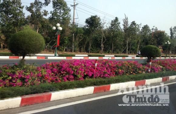 Biển Vũng Tàu - Đi một lần... sợ mãi! ảnh 2 Biển Vũng Tàu - Đi một lần... sợ mãi! ảnh 2
