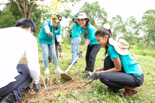 Được biết, cánh rừng Miss Earth này chỉ là một trong số rất nhiều khu rừng Miss Earth mà BTC cuộc thi sẽ trồng tại rất nhiều nơi khắp đất nước Việt Nam Được biết, cánh rừng Miss Earth này chỉ là một trong số rất nhiều khu rừng Miss Earth mà BTC cuộc thi sẽ trồng tại rất nhiều nơi khắp đất nước Việt Nam