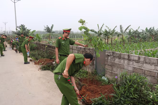 250 cay Ban Tây Bắc được trồng mới tại đường liên xã thuộc xã Thuần Mỹ 250 cay Ban Tây Bắc được trồng mới tại đường liên xã thuộc xã Thuần Mỹ