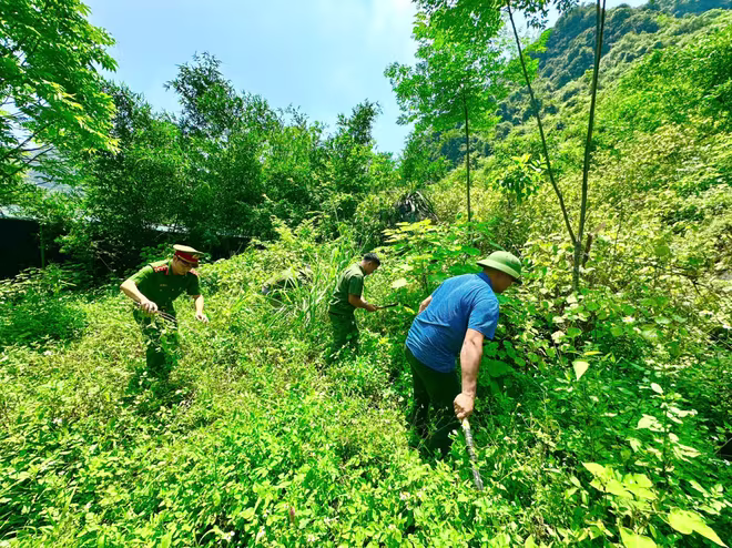 Phối hợp tuần tra, kiểm soát bảo vệ an toàn môi trường, hệ sinh thái và an toàn PCCC rừng Phối hợp tuần tra, kiểm soát bảo vệ an toàn môi trường, hệ sinh thái và an toàn PCCC rừng