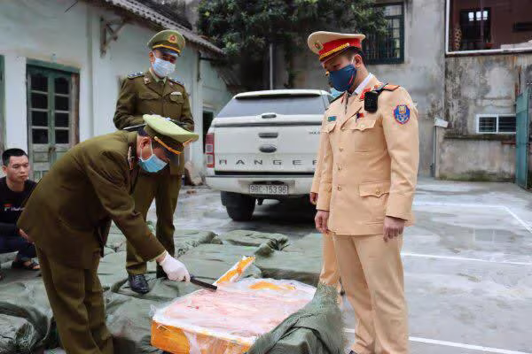 CSGT và lực lượng chức năng kiểm tra xử lý số nầm lợn thối