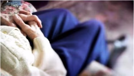 Ảnh minh họa Ảnh minh họa