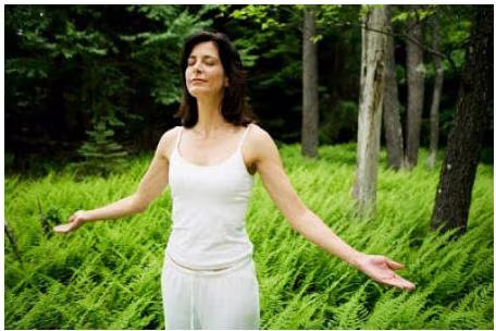 Ảnh minh họa Ảnh minh họa