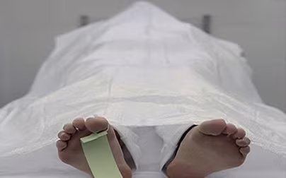Ảnh minh họa Ảnh minh họa