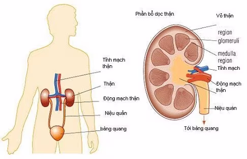 Ảnh minh họa Ảnh minh họa