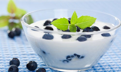 5 lý do nên ăn sữa chua hàng ngày ảnh 1 5 lý do nên ăn sữa chua hàng ngày ảnh 1