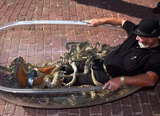 13 kỷ lục Guinness lạ lùng nhất thế giới ảnh 6