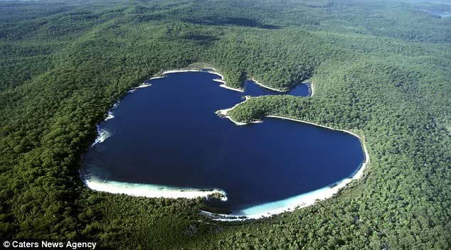 Những trái tim của tạo hóa thiên nhiên ảnh 7 Những trái tim của tạo hóa thiên nhiên ảnh 7