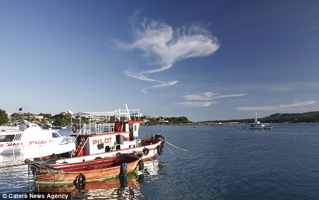 Những trái tim của tạo hóa thiên nhiên ảnh 6 Những trái tim của tạo hóa thiên nhiên ảnh 6