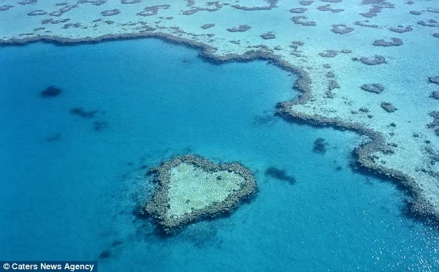 Những trái tim của tạo hóa thiên nhiên ảnh 8 Những trái tim của tạo hóa thiên nhiên ảnh 8