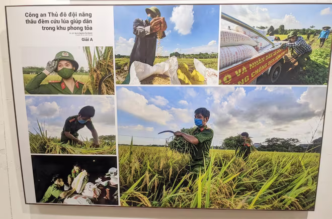 Tác phẩm "Công an Thủ đô đội nắng, thâu đêm cứu lúa giúp dân trong khu phong tỏa" của Đại úy Nguyễn Phú Khánh (Chuyên đề An ninh Thủ đô) đoạt giải A Tác phẩm "Công an Thủ đô đội nắng, thâu đêm cứu lúa giúp dân trong khu phong tỏa" của Đại úy Nguyễn Phú Khánh (Chuyên đề An ninh Thủ đô) đoạt giải A
