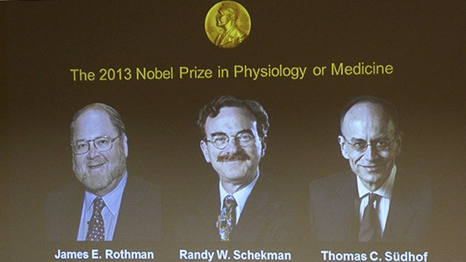 Giải Nobel Y học 2013: Khám phá cơ chế vận chuyển trong tế bào ảnh 1 Giải Nobel Y học 2013: Khám phá cơ chế vận chuyển trong tế bào ảnh 1
