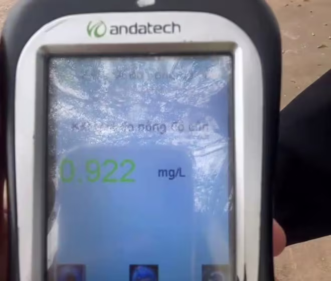 Mức vi phạm của anh Đ Mức vi phạm của anh Đ