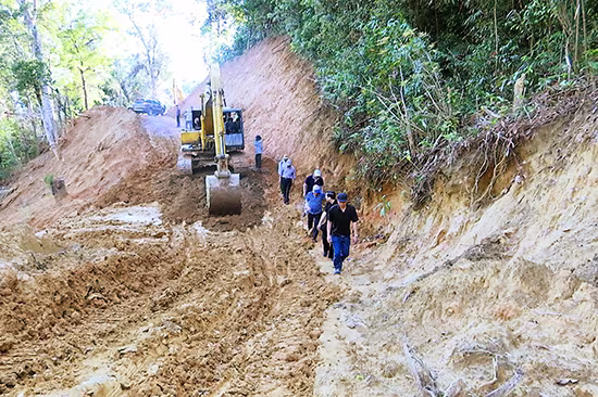 Bộ NN&PTNT khuyến cáo tỉnh Quảng Nam thận trọng trong việc lấy đất rừng làm đường vào rừng sâm Ngọc Linh Bộ NN&PTNT khuyến cáo tỉnh Quảng Nam thận trọng trong việc lấy đất rừng làm đường vào rừng sâm Ngọc Linh