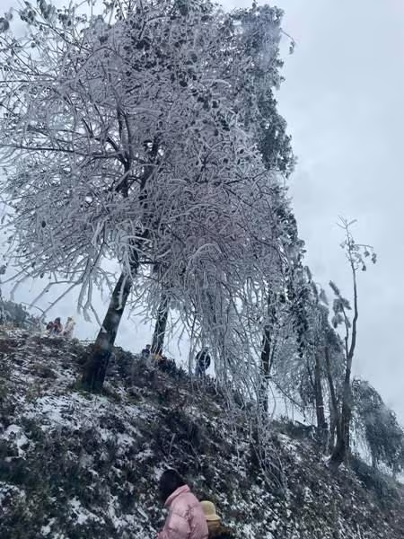 Dù không phải hiện tượng hiếm gặp, nhưng mưa tuyết vẫn khiến nhiều người dân thích thú Dù không phải hiện tượng hiếm gặp, nhưng mưa tuyết vẫn khiến nhiều người dân thích thú