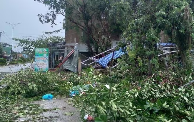 Cây xanh ngổn ngang trên đường phố TP Tam Kỳ, Quảng Ngãi Cây xanh ngổn ngang trên đường phố TP Tam Kỳ, Quảng Ngãi