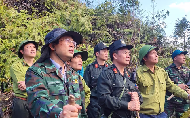 Chủ tịch tỉnh Lào Cai Trịnh Xuân Trường thị sát, chỉ huy công tác chống cháy rừng ở Vườn quốc gia Hoàng Liên Sơn chiều tối 20/2 Chủ tịch tỉnh Lào Cai Trịnh Xuân Trường thị sát, chỉ huy công tác chống cháy rừng ở Vườn quốc gia Hoàng Liên Sơn chiều tối 20/2