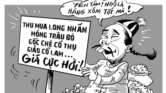 Khôn và dại ảnh 1 Khôn và dại ảnh 1