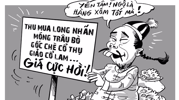 Khôn và dại ảnh 1 Khôn và dại ảnh 1