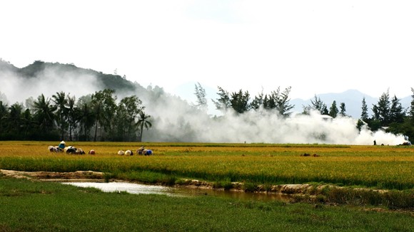 Cay mắt ảnh 1 Cay mắt ảnh 1