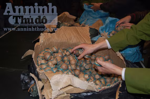 Bị bắt khi đang tuồn "pháo lựu đạn" về Hà Nội ảnh 2 Bị bắt khi đang tuồn "pháo lựu đạn" về Hà Nội ảnh 2