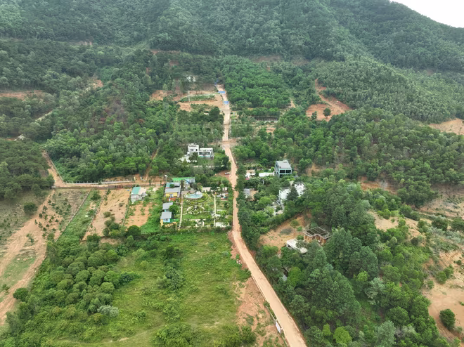 Huyện Sóc Sơn đang đang tiếp tục phân loại các trường hợp vi phạm đất rừng còn tồn đọng để xử lý theo đúng quy định của pháp luật