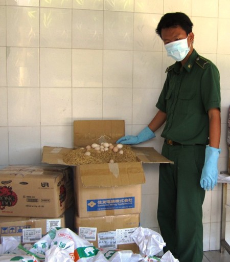 Bắt xe tải chở gia cầm bẩn trên đường đi tiêu thụ ảnh 2 Bắt xe tải chở gia cầm bẩn trên đường đi tiêu thụ ảnh 2