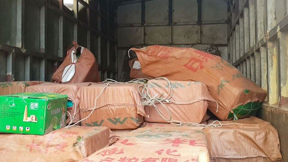Phát hiện hơn 2 tấn nho sấy khô "bẩn" ảnh 1 Phát hiện hơn 2 tấn nho sấy khô "bẩn" ảnh 1