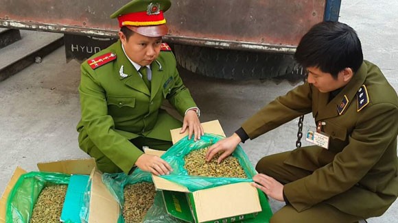 Phát hiện hơn 2 tấn nho sấy khô "bẩn" ảnh 2 Phát hiện hơn 2 tấn nho sấy khô "bẩn" ảnh 2