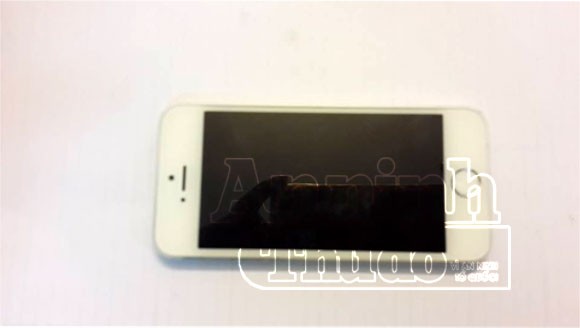 Về quê ăn Tết, nữ Việt kiều bị cướp điện thoại Iphone ảnh 2 Về quê ăn Tết, nữ Việt kiều bị cướp điện thoại Iphone ảnh 2