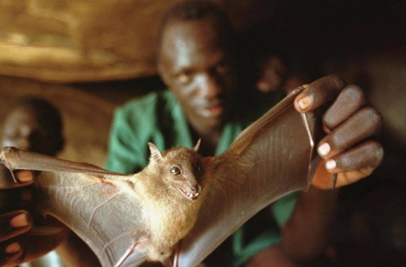 Những hình ảnh khủng khiếp về dịch bệnh Ebola ảnh 12 Những hình ảnh khủng khiếp về dịch bệnh Ebola ảnh 12