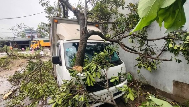 Mưa to kèm dông lốc khiến TP.Tuyên Quang và một số địa phương của tỉnh bị thiệt hại do cây đổ, ngập úng...