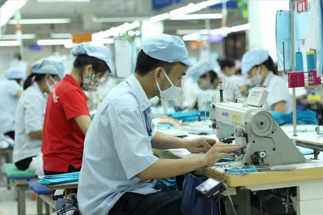 Cần hướng dẫn các doanh nghiệp thực hiện đúng các chế độ chính sách đối với người lao động Cần hướng dẫn các doanh nghiệp thực hiện đúng các chế độ chính sách đối với người lao động