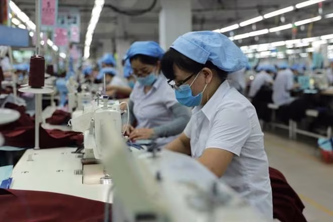 Các nữ công nhân đang hăng say làm việc Các nữ công nhân đang hăng say làm việc