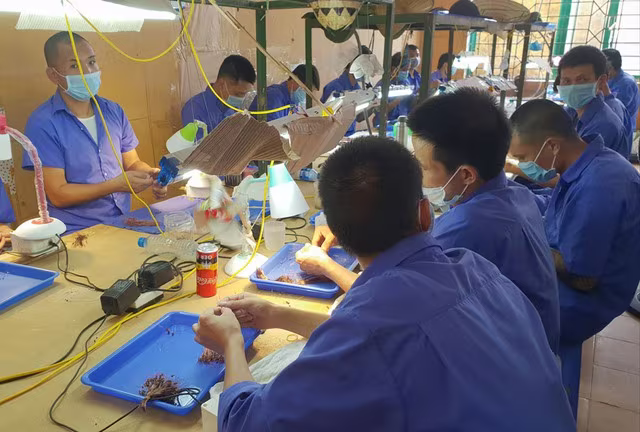 Cơ sở cai nghiện ma túy số 1 Hà Nội dạy nghề cho học viên