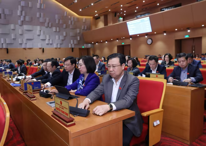 Các đại biểu biểu quyết Các đại biểu biểu quyết